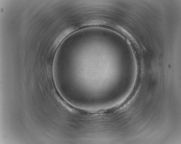 X0000076091329200609221147