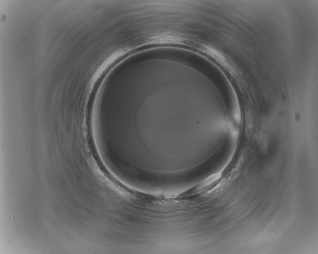 X0000076091331200609221147