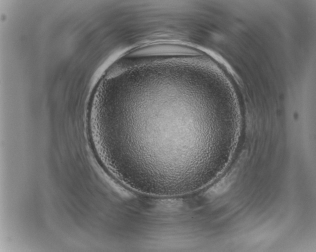 X0000076091333200609221147