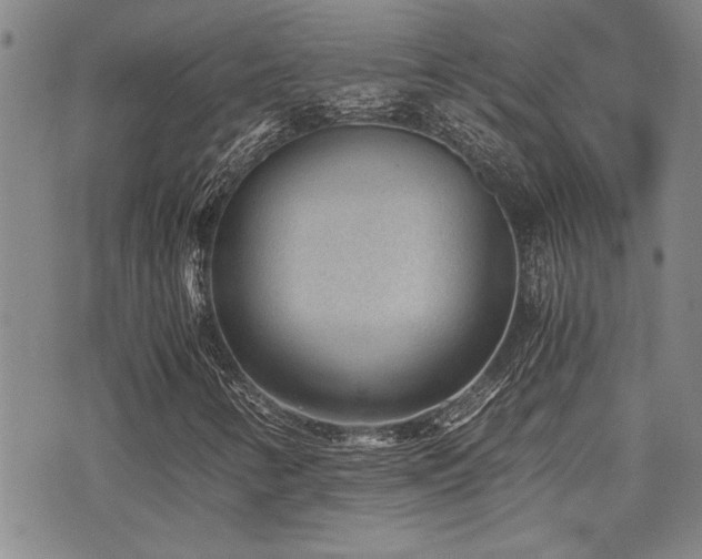 X0000076091346200609221147