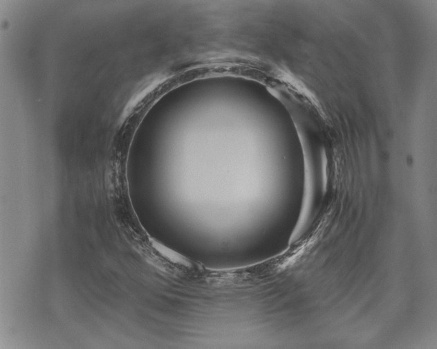 X0000076091352200609221147