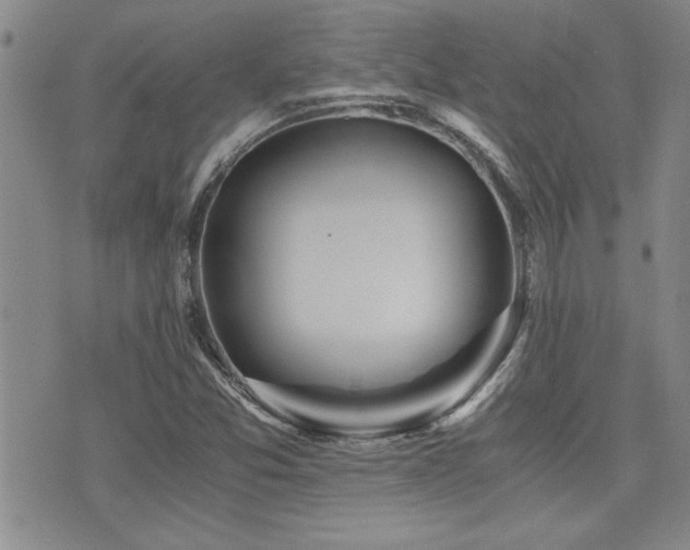 X0000076091357200609221147