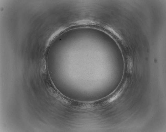 X0000076091358200609221147