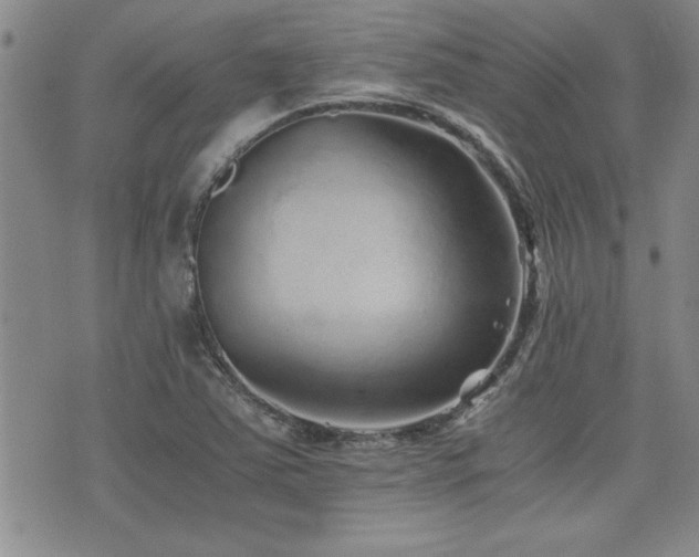 X0000076091363200609221147