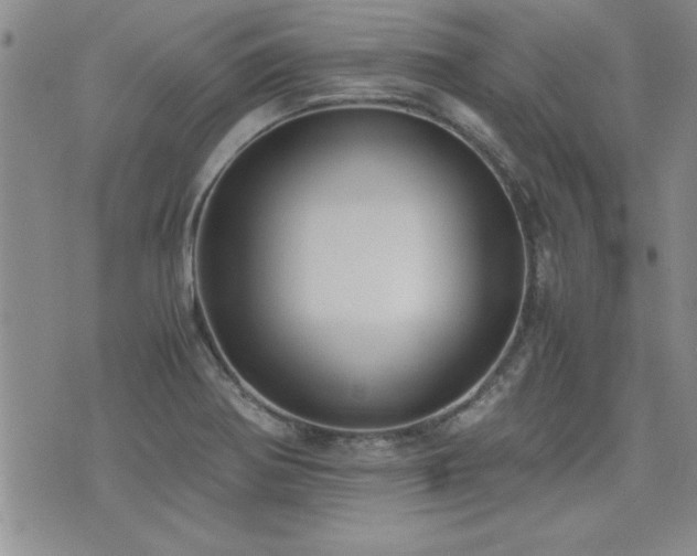 X0000076091370200609221146