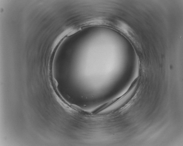 X0000076091426200609221146