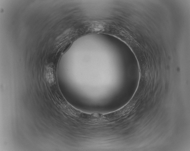 X0000076091442200609221145