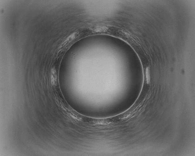 X0000076091443200609221145