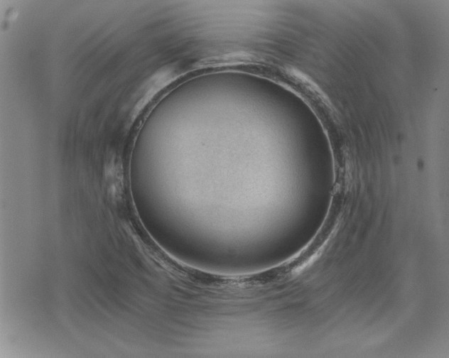 X0000076091457200609221145