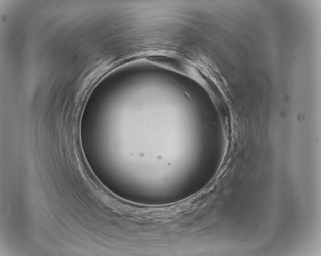 X0000076090001200609291238