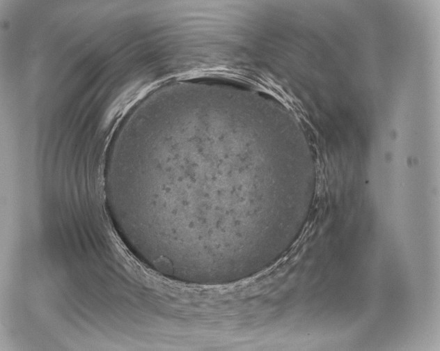 X0000076090002200609291238