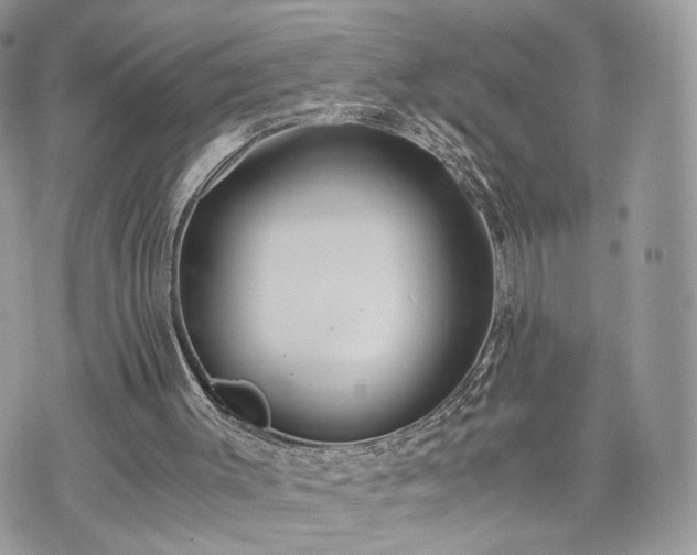 X0000076090003200609291238