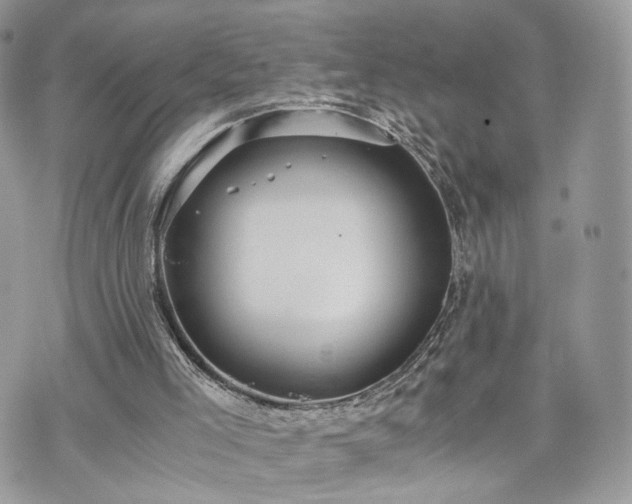 X0000076090005200609291238