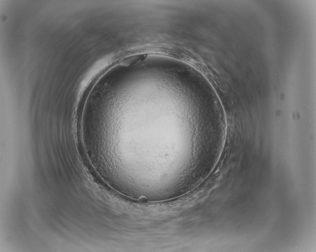 X0000076090006200609291238