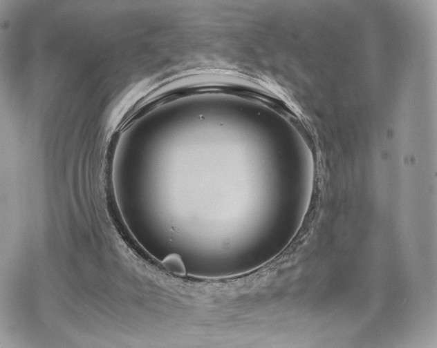 X0000076090007200609291238