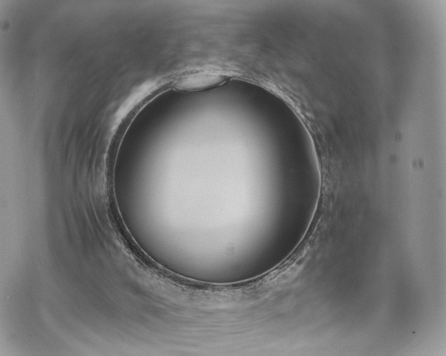 X0000076090008200609291238