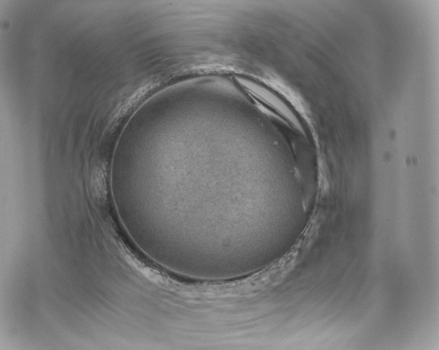 X0000076090009200609291238