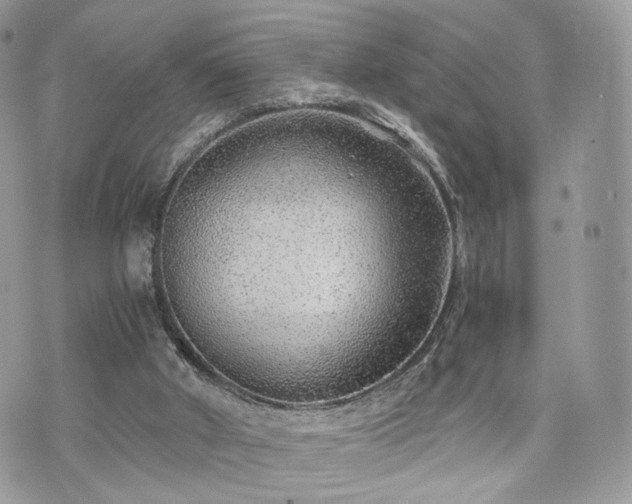 X0000076090010200609291238