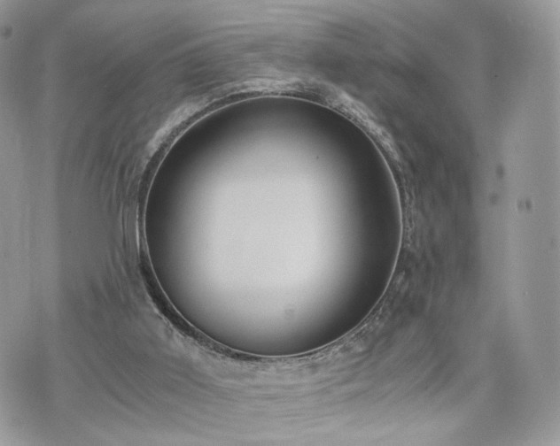 X0000076090011200609291238