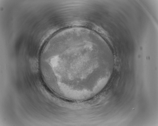 X0000076090012200609291238