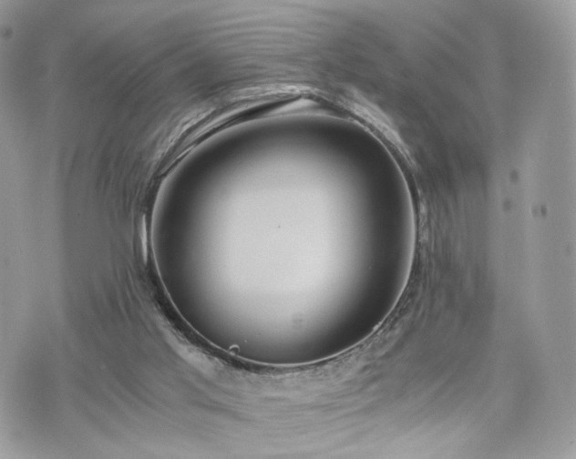 X0000076090013200609291238