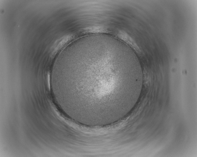 X0000076090014200609291238