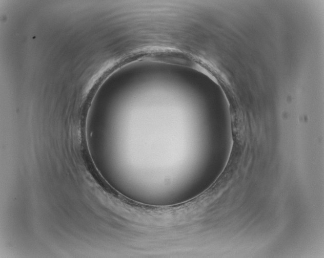 X0000076090015200609291238