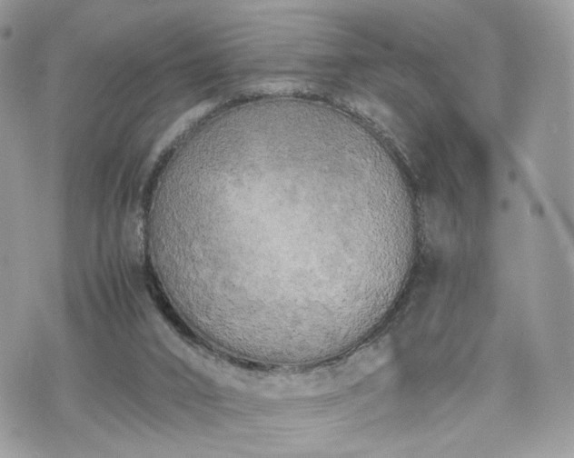 X0000076090016200609291238