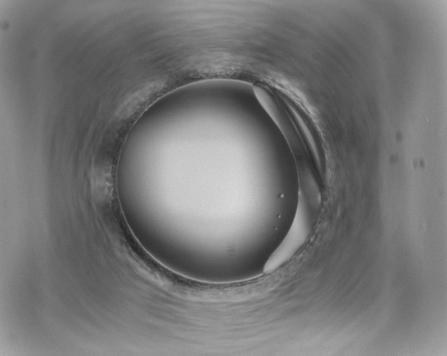 X0000076090017200609291238