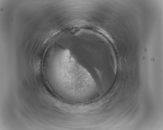 X0000076090018200609291238