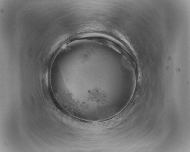 X0000076090019200609291238