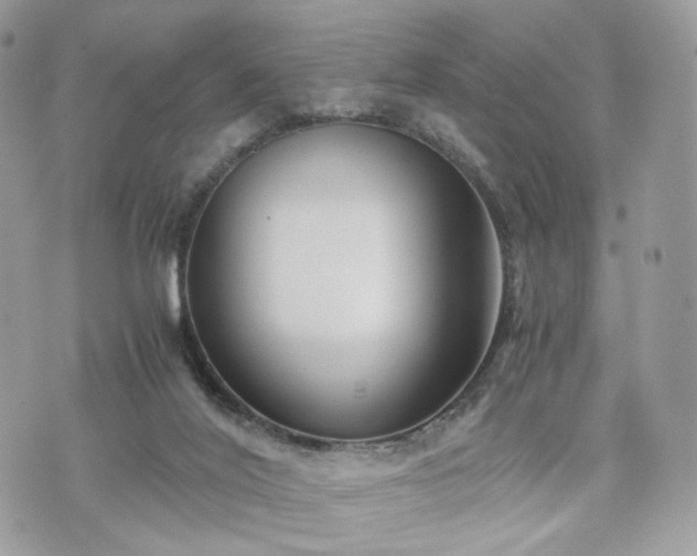 X0000076090020200609291238