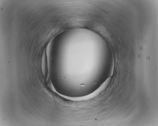 X0000076090021200609291238