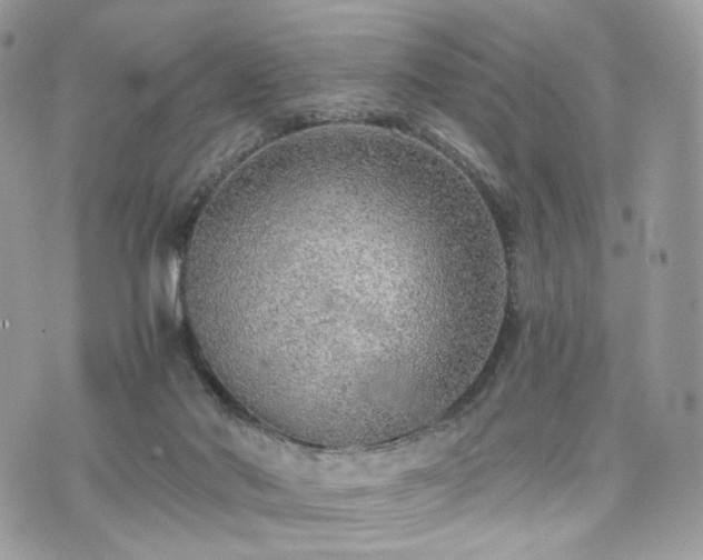 X0000076090022200609291238