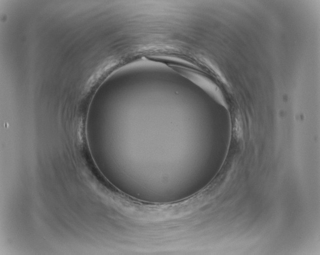 X0000076090023200609291238