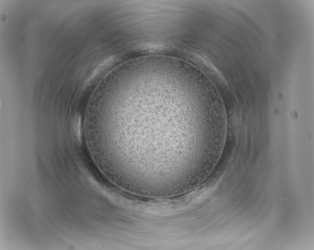 X0000076090024200609291238