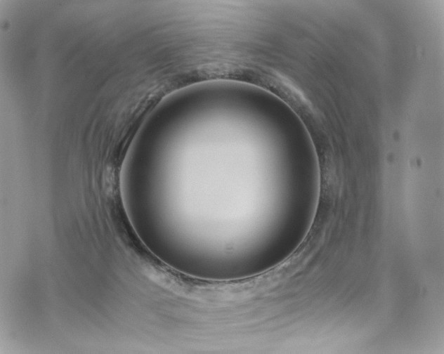 X0000076090025200609291238