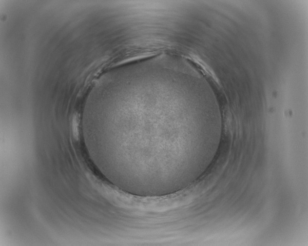 X0000076090026200609291238