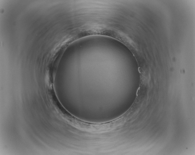 X0000076090027200609291238