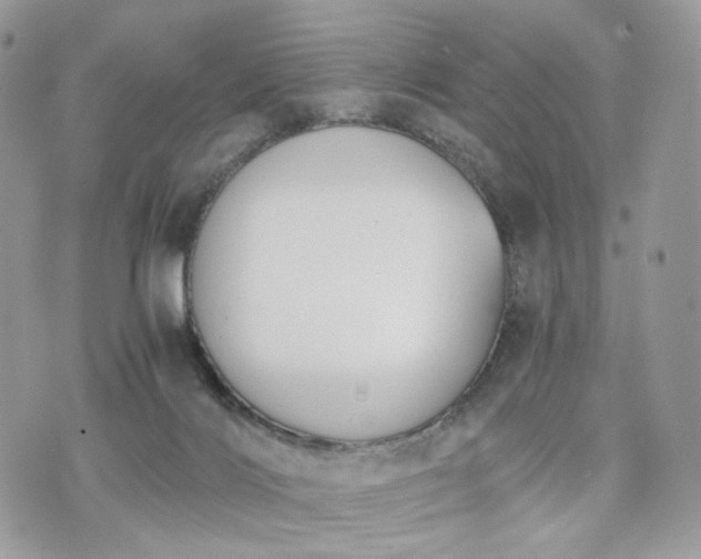 X0000076090028200609291238