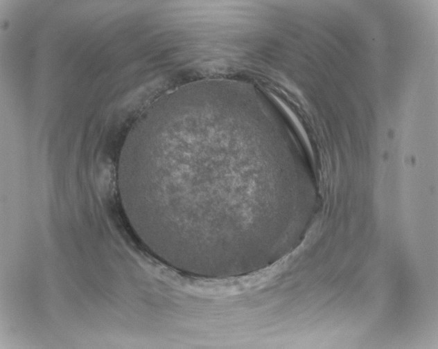 X0000076090029200609291238