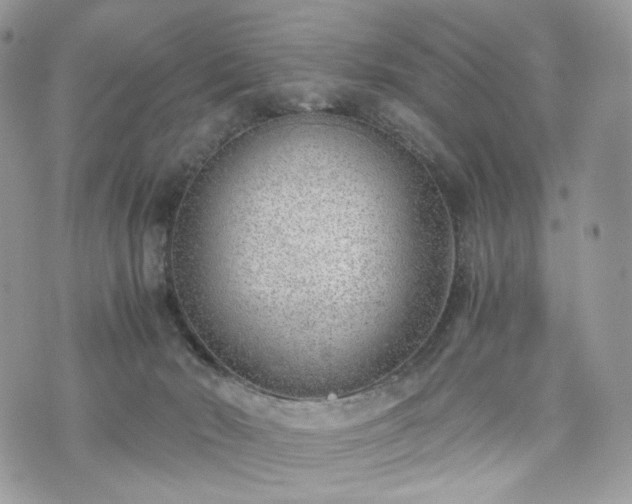 X0000076090030200609291238