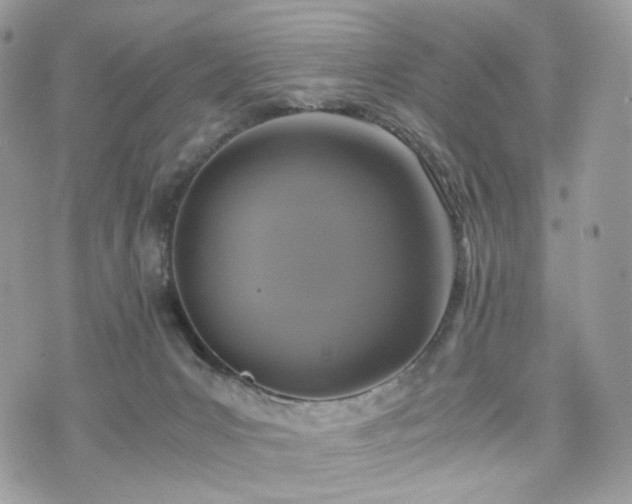 X0000076090031200609291238