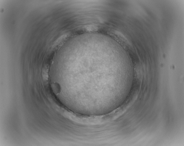 X0000076090032200609291238