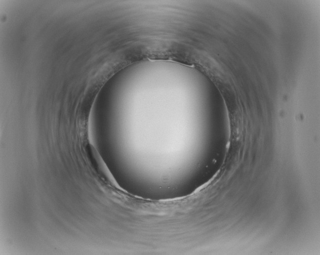 X0000076090033200609291237