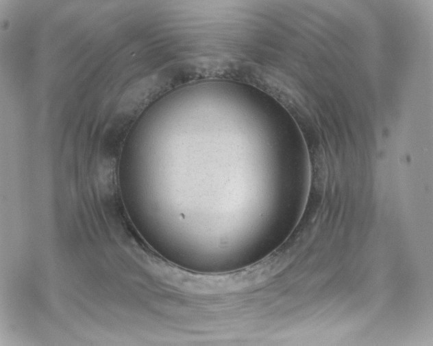 X0000076090034200609291237