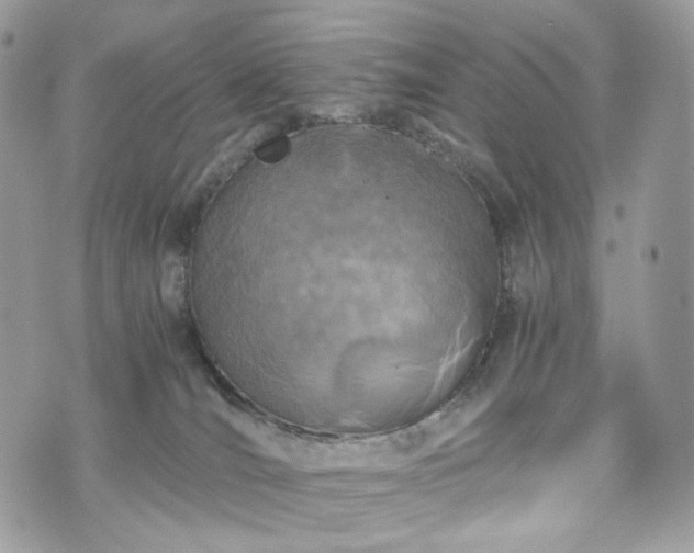 X0000076090036200609291237