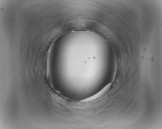 X0000076090037200609291237