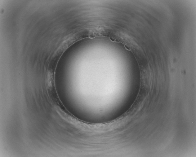 X0000076090038200609291237