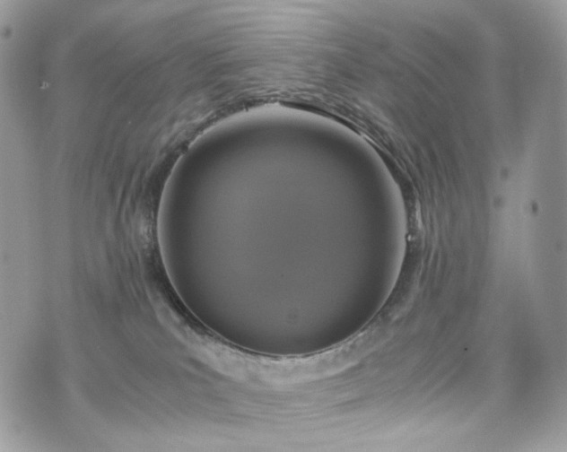 X0000076090039200609291237